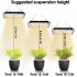 100w Led Grow Light With Plug Plant Growing Lamp Promoting Plant Growth For Greenhouse Hydroponic Flower Seeds US plug