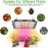 100w Led Grow Light With Plug Plant Growing Lamp Promoting Plant Growth For Greenhouse Hydroponic Flower Seeds US plug