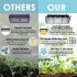 100w Led Grow Light With Plug Plant Growing Lamp Promoting Plant Growth For Greenhouse Hydroponic Flower Seeds US plug