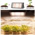100w Led Grow Light With Plug Plant Growing Lamp Promoting Plant Growth For Greenhouse Hydroponic Flower Seeds US plug