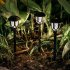 10Pcs LED Light Solar Powered Outdoor Waterproof Coffee Color Lawn Lamp Courtyard Decor Color light