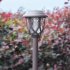 10Pcs LED Light Solar Powered Outdoor Waterproof Coffee Color Lawn Lamp Courtyard Decor White light