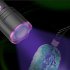 10W 365nm Purple Light Flashlight  LED Powerful Flashlights  Rechargeable Powerful Fluorescent Detector  Purple Light Flashlight  For Pet Urine Detection  Resin