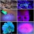 10W 365nm Purple Light Flashlight  LED Powerful Flashlights  Rechargeable Powerful Fluorescent Detector  Purple Light Flashlight  For Pet Urine Detection  Resin