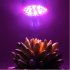 10W LED Full Spectrum Plant Grow Light Lamp for Indoor Garden Greenhouse Supplies  E27