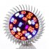 10W LED Full Spectrum Plant Grow Light Lamp for Indoor Garden Greenhouse Supplies  E27