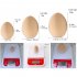 10pcs Simulate Wood Craft Eggs For Kids Toy Diy Graffiti Easter Egg Ornaments large
