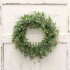 12 5inch 32CM  Green Corallina Officinalis Shape Wreath for Door Wall Window Party Decor green