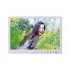 12 Inch 1080P HD Digital Photo Frame with Remote Control Support 32G SD and USB for Pictures and Videos Black US plug