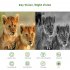 120 Degree Infrared Trail Stealth Security Low Consumption Camera Cam 