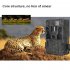 120 Degree Infrared Trail Stealth Security Low Consumption Camera Cam 