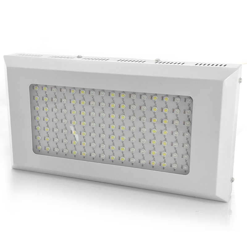 Aquarium Light
