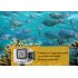 12MP Wi Fi Camera comes with a 2 inch LCD screen  is waterproof up to 50 meters and features a 160 degree angle  Now with Remote Control 