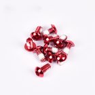 12PCS Pack Colorful MTB Bike Bicycle Disc Brake Rotor Torx T25 Bolts Stainless Steel M5 10mm Road Bike Disc Brake Rotor Screws Red 12   box