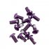 12Pcs M5x10mm Road Mountain Bike Bicycle Disc brakes Rotor Screw Bolts nuts Torx T25 Head Bicycle Brake Disc Bolts Screw Purple one card   12