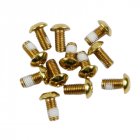 12Pcs M5x10mm Road Mountain Bike Bicycle Disc brakes Rotor Screw Bolts nuts Torx T25 Head Bicycle Brake Disc Bolts Screw Gold one card   12