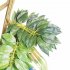 12Pcs Set Artificial Silk Wisteria Leaf for Garden Room Wedding Decoration white