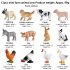12pcs Simulation Mini Farm Animals Figures Realistic Poultry Model Ornaments Learning Educational Toys For Kids Gifts 12pcs
