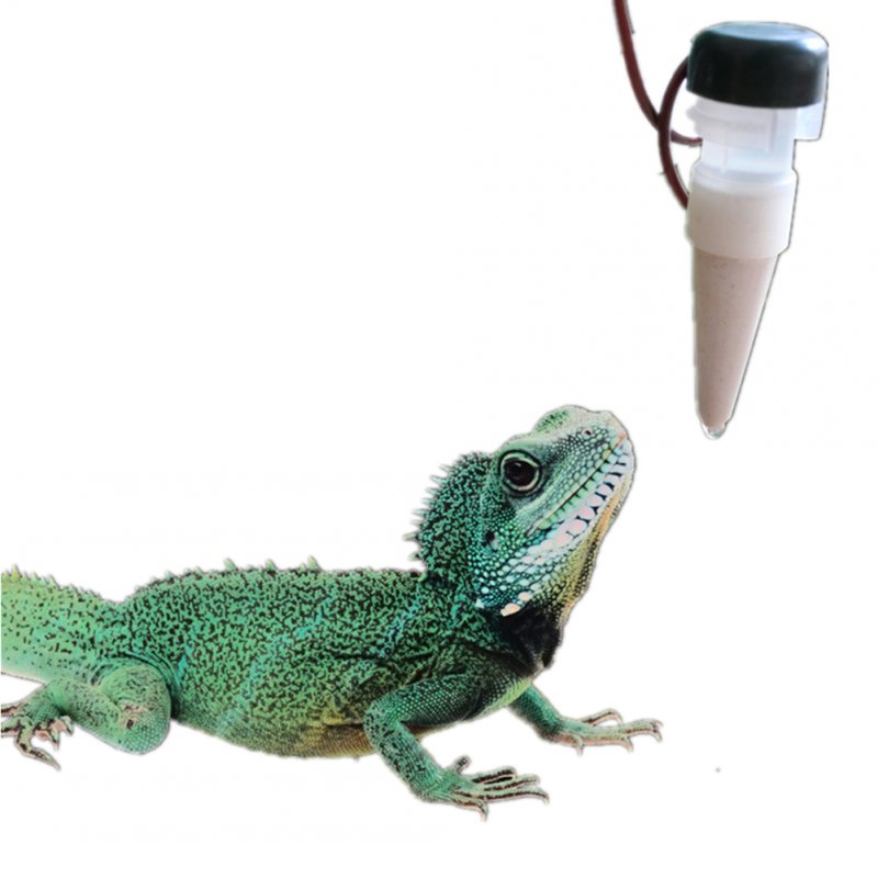 Chameleon best sale watering system