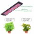 15 Watt LED Grow Light produces up to 810 lumens with its 57 high end LEDs that include 53 red  18 blue  2 UV  and 2 IR lights 