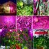 15 Watt LED Grow Light produces up to 810 lumens with its 57 high end LEDs that include 53 red  18 blue  2 UV  and 2 IR lights 