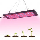 15 Watt LED Grow Light produces up to 810 lumens with its 57 high end LEDs that include 53 red  18 blue  2 UV  and 2 IR lights 
