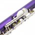 16 Hole Concert Flute Set C Key Woodwind Instrument with Gloves Mini Screwdriver Padded Case black