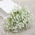 16 Pcs bunch Artificial  Gypsophila Vivid Colored Plants Bouquets Diy Wedding Home Living Room Decoration Photography Props White bunch of 16