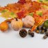 166 Pcs Mini Fake Artificial Pumpkins Set Realistic Maple Leaves Pine Cones Acorns Pumpkins For Halloween Thanksgiving Decor set