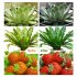 18W LED Grow Light with 36 blue and red LED lights is the easy way to promote your plants growth and encourage blossoming  