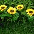1pc 2pcs LED Solar Sunflowers Lights IP65 Waterproof Automatic On off Garden Lights For Yard Patio Garden Pathway Porch Decor 2 pcs 2 heads