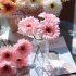 1pc 7pcs  Silk  Flower Home Decoration Flower Simulation Ornament Wedding Bouquet 1 orange