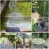 1w Solar Powered Fountain With 5 Size Spray Adapters Energy Saving Water Pump For Pond Garden Decor Solar Fountain 1W