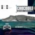 2 4G Remote Control Boat 4CH Recharegeable Simulation Animal RC Boat Summer Toys Dark Green