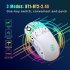 2 4G Wireless Mouse 3600 DPI Wireless Mouse Ergonomic Gaming Mouse RGB Lighting Type C Rechargeable For PC Laptop Computer T90RGB 3 mode charging  white