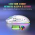 2 4G Wireless Mouse 3600 DPI Wireless Mouse Ergonomic Gaming Mouse RGB Lighting Type C Rechargeable For PC Laptop Computer T90RGB 3 mode charging  black