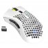 2 4GHz Wireless Mouse USB Rechargeable 1600DPI Adjustable Hollow Out Honeycomb RGB Optical Mouse Gamer Mice white