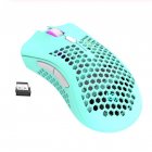 2.4GHz Wireless Mouse USB Rechargeable 1600DPI Adjustable Hollow Out Honeycomb RGB Optical Mouse Gamer Mice blue