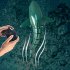 2 4g Remote Control Shark Boat with Led Light Long Endurance Summer Water Toys Green