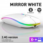 2.4g Wireless Mouse Bluetooth-compatible Rgb Rechargeable Mute Led Backlight Ergonomic Gaming Mouse For Laptops White