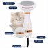 2 In 1 Dog Cat Hot Air Comb Hair Dryers One key Hair Removal 3 speed Grooming Tool Pet Supplies US plug