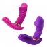 2 PCS Women Vibrator Clitoral Nipple Pleasure Stimulator G Spot Massager With 7 Modes Adult Sex Toys For Women Female Couples rose red