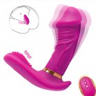2 PCS Women Vibrator Clitoral Nipple Pleasure Stimulator G Spot Massager With 7 Modes Adult Sex Toys For Women Female Couples rose red
