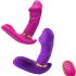 2 PCS Women Vibrator Clitoral Nipple Pleasure Stimulator G Spot Massager With 7 Modes Adult Sex Toys For Women Female Couples rose red