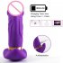 2 PCS Women Vibrator Clitoral Nipple Pleasure Stimulator G Spot Massager With 7 Modes Adult Sex Toys For Women Female Couples rose red