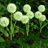 2 Pack Solar 3 head Flowers Light Outdoor IP65 Waterproof 2 Modes 3 in 1 Flowers Solar Powered Lights For Garden Yard Decor Colorful light