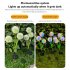 2 Pack Solar 3 head Flowers Light Outdoor IP65 Waterproof 2 Modes 3 in 1 Flowers Solar Powered Lights For Garden Yard Decor Colorful light