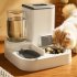 2 in 1 Pet Automatic Feeder Dog Cat Drinking Fountain Water Dispenser Food Bowl Pet Supplies Gray