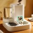 2 in 1 Pet Automatic Feeder Dog Cat Drinking Fountain Water Dispenser Food Bowl Pet Supplies Green
