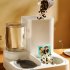 2 in 1 Pet Automatic Feeder Dog Cat Drinking Fountain Water Dispenser Food Bowl Pet Supplies Gray